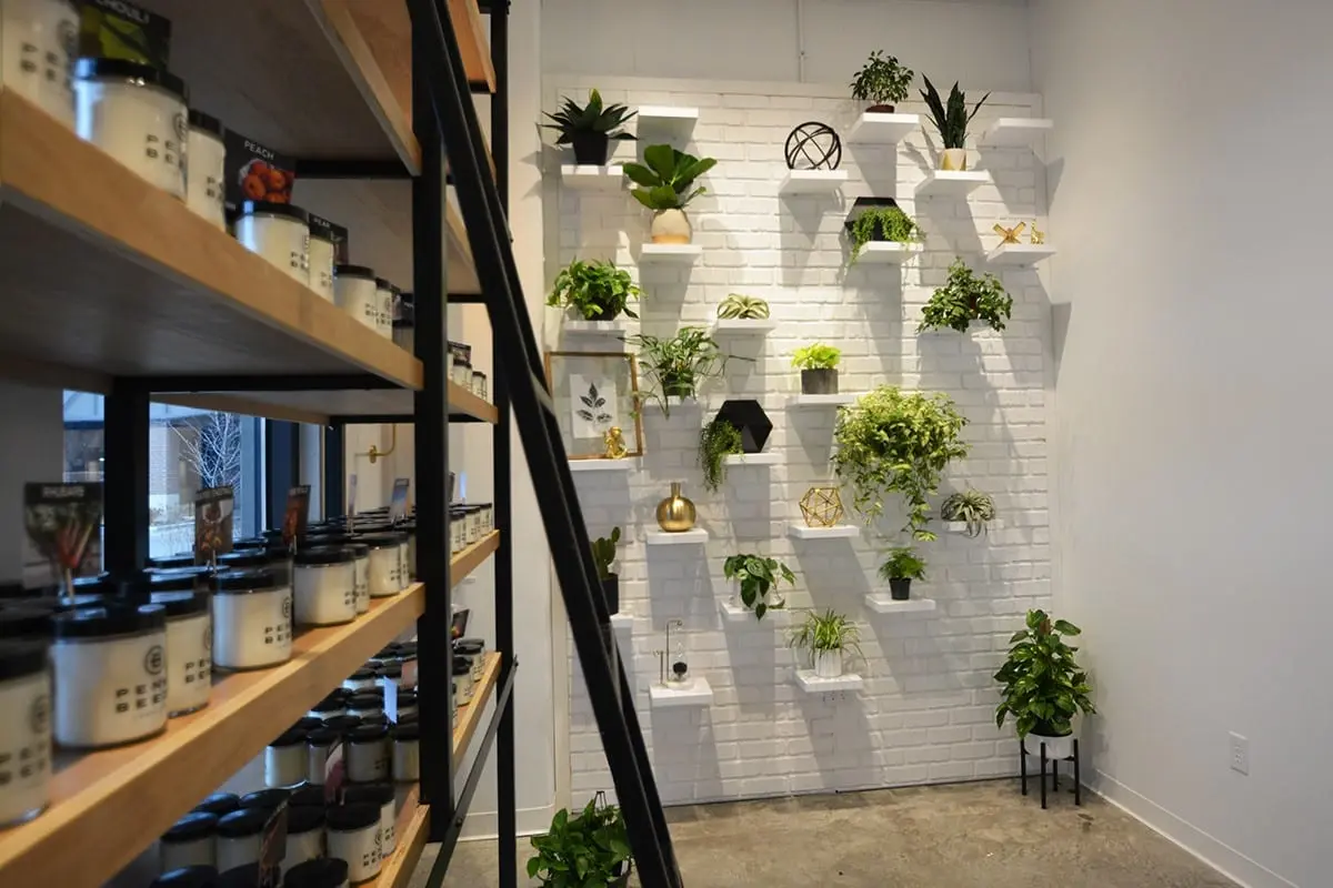 Retail interior in Indianapolis featuring a biophilic plant wall display with shelving and product merchandising