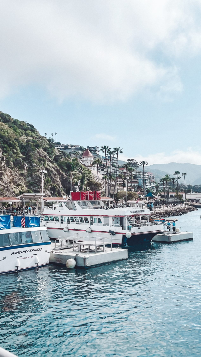 Jerika and Nicole’s trip to #California was a perfect blend of innovation and exploration! Huge thank you @esl_spectrum for this unforgettable experience at @ledrabrands , where they immersed themselves in cutting-edge lighting technology and designs from Bruck and Alphabet Lighting. Sightseeing at Catalina Island added a touch of adventure to their journey
 💡✈️😎